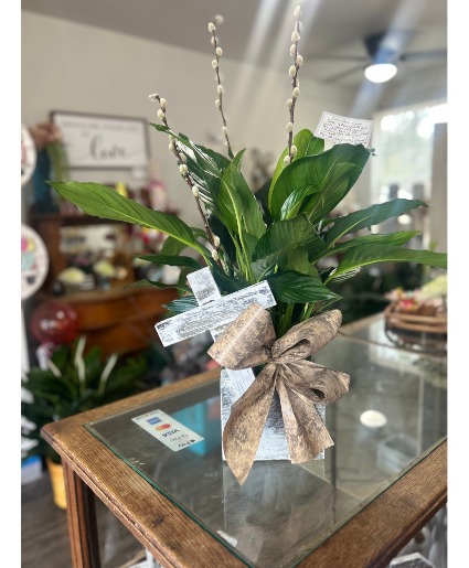 Sympathy Plant with Handmade Box Plant