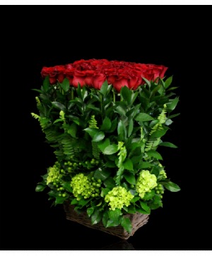Sympathy Rose Hedge Basket