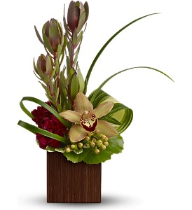 T*  Bamboo Eden  TFWEB622 