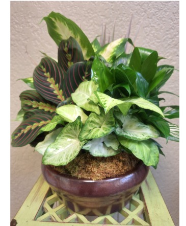Table Garden  Planter in Nederland, TX | Harris Florist