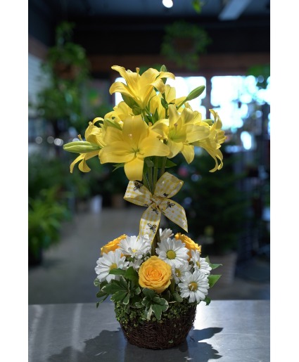Table Top Topiary Locally Grown Lilies 