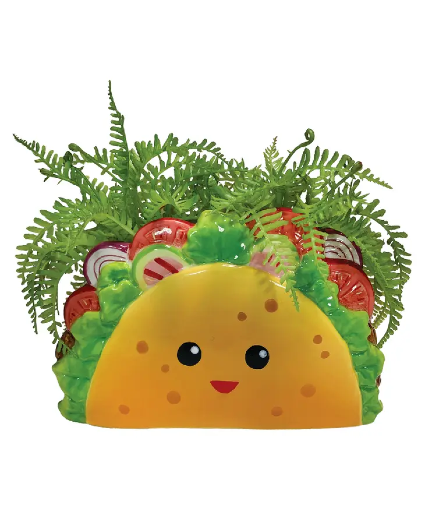 TACO PLANTER 