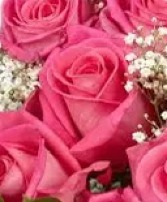 Take A Bow- pink roses
