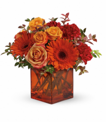Tangerine dreams Fresh cut arrangement