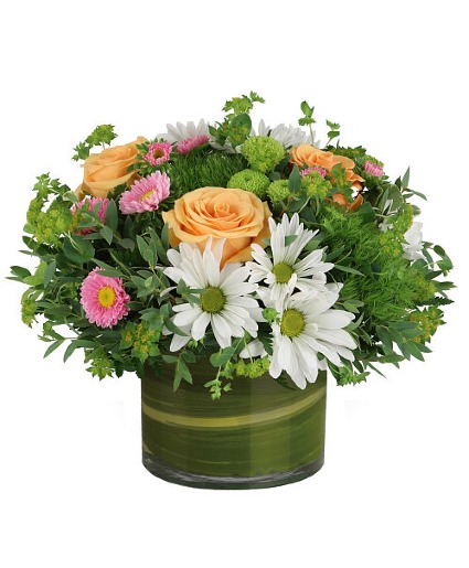 Tangerine Twist Arrangement