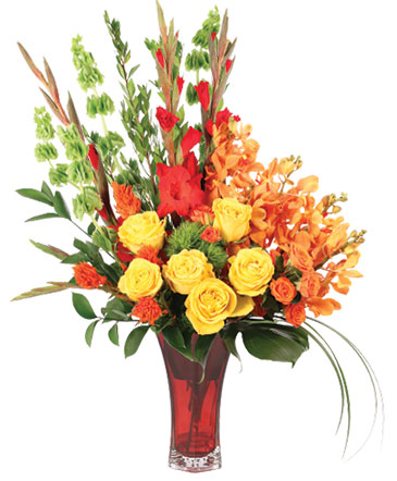Tawny Orchid Vision Flower Arrangement in Glastonbury, CT | THE FLOWER DISTRICT