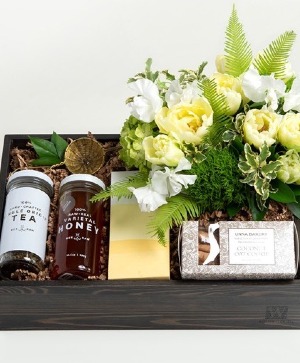 Coziness Curated 