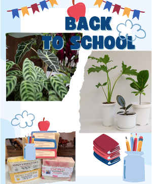 Teacher appreciation Special Plant