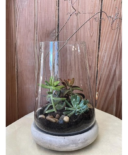 Teardrop glass terrarium 