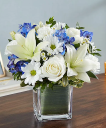Tears in Blue & White - 00256 
