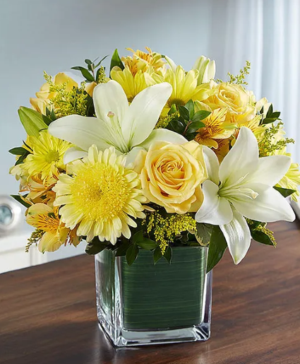 Tears in White & Yellow - 00259 