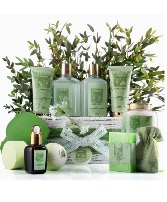 Teatree oil Bath & body spa Pampered me basket