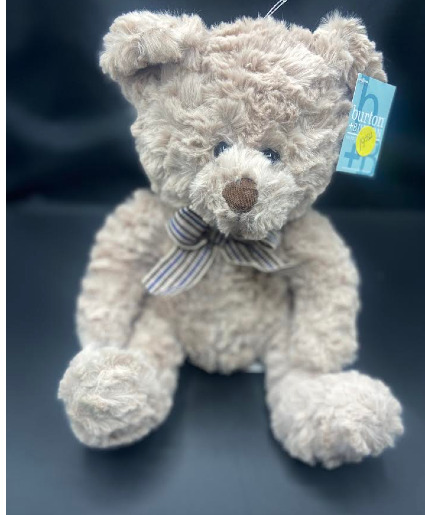 Teddy 
