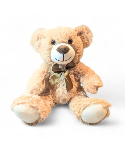 Teddy Bear - 14inch 