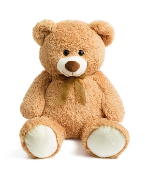 Teddy Bear 