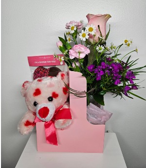 Teddy Bear Special 