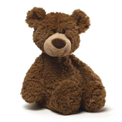 Teddy Bear Stuffed Animal