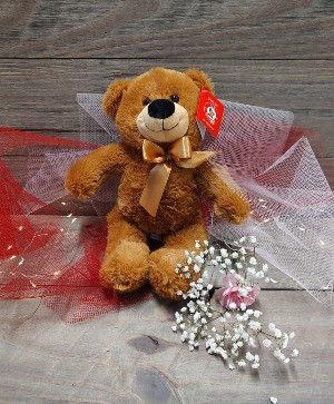 Teddy Bear Teddy Bear