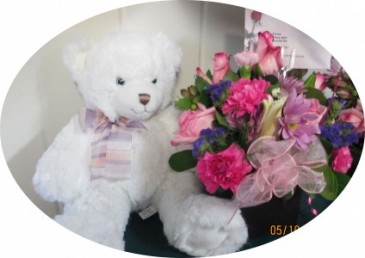 Teddy Bears Stuffed Animals in Albany, GA | ALBANY FLORAL & GIFT