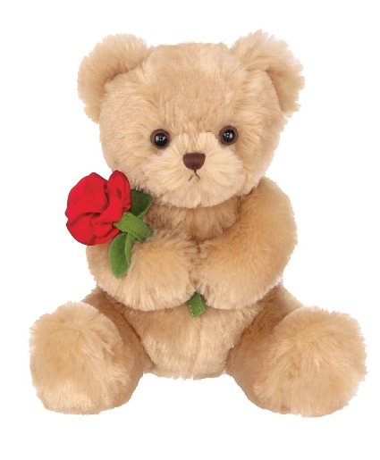 Romeo Teddy  Gift Shop