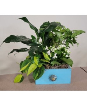 TEEL BLUE WOODEN GARDEN BOX 