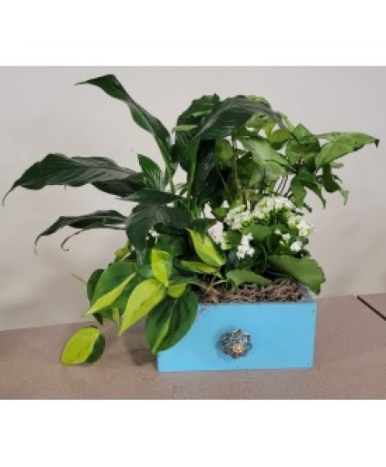 TEEL BLUE WOODEN GARDEN BOX 