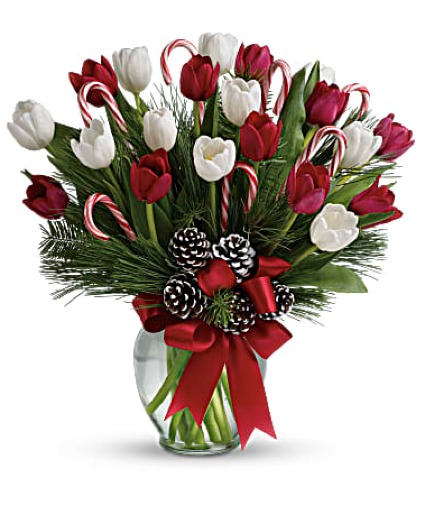 Teleflora By Golly It's Jolly 