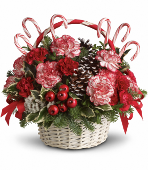 Teleflora Candy Cane Christmas 