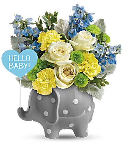 Teleflora Hello Sweet Baby 