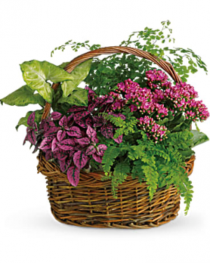 Teleflora Secret Garden Basket 