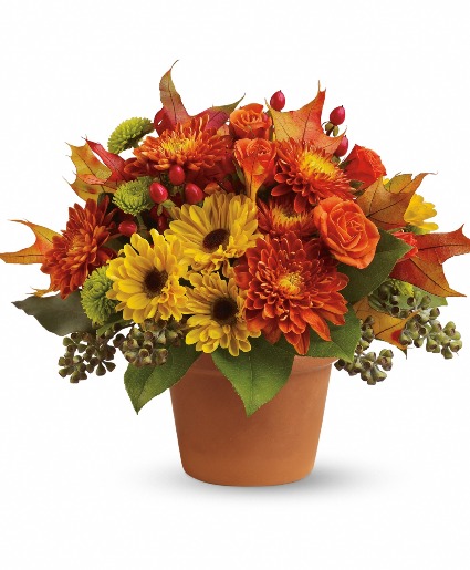 Teleflora Sugar Maples 