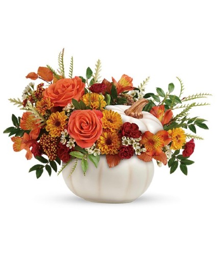 Fall  White Pumpkin 