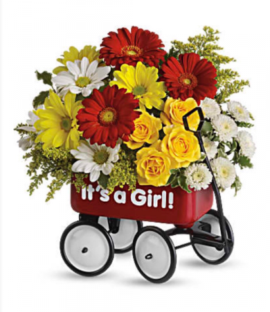 Teleflora’s Baby’s first wagon Fresh Arrangement in a Teleflora Keepsake