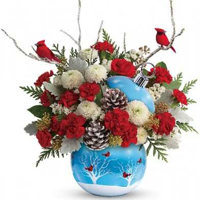 Telefloras Cardinals In The Snow 