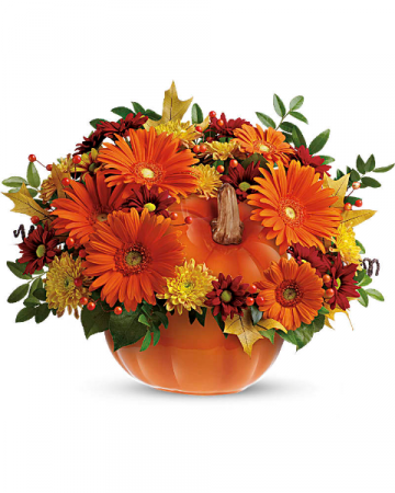 Teleflora's Country Pumpkin Thanksgiving
