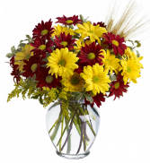 Fall For Daisies - 350 Vase arrangement 