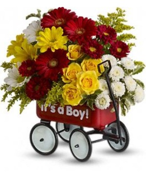 Teleflora's It's A Boy Arrangement 