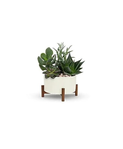 Teleflora's Mid-Century Garden Arrangement