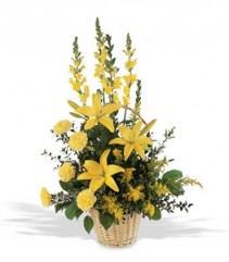Teleflora's Monochromatic Yellow Arrangement
