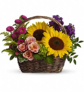 Teleflora's Picnic in the Park Basket Arrangement