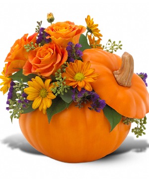 Teleflora's Pumpkin Patch  