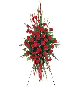 Teleflora's Red Regards Spray 