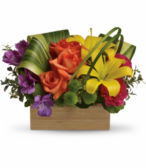Teleflora's Shades of Brilliance Bouquet Teleflora