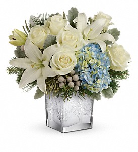 Teleflora's Silver Snow T17X610B Bouquet