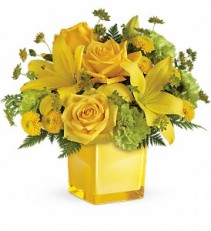 Teleflora's Sunny Mood Cube arrangement-fresh