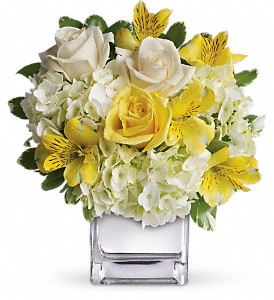 Teleflora's Sweetest Sunrise Fresh Flowers in a keepsake cube