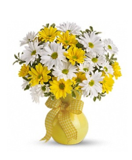Teleflora's Upsy Daisy Just Because