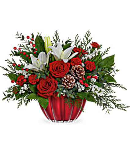 Telefloras Vibrant Christmas 