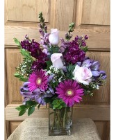 Tender Gerbera  