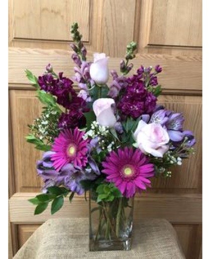 Tender Gerbera  